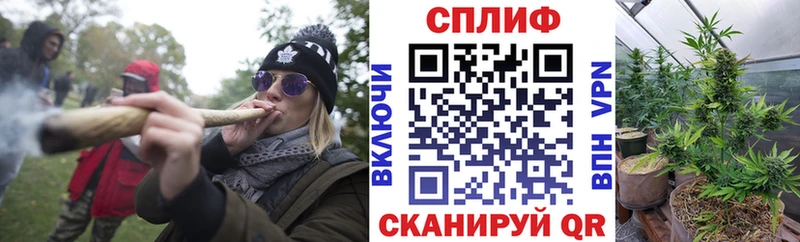 Как найти закладки Дмитриев LSD-25  Меф  СК  ГАШ  Канабис 