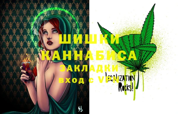 прущие грибы Горняк