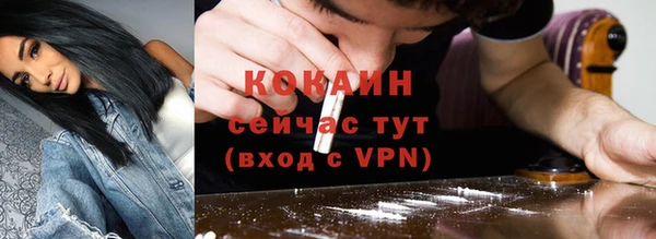 прущие грибы Горняк