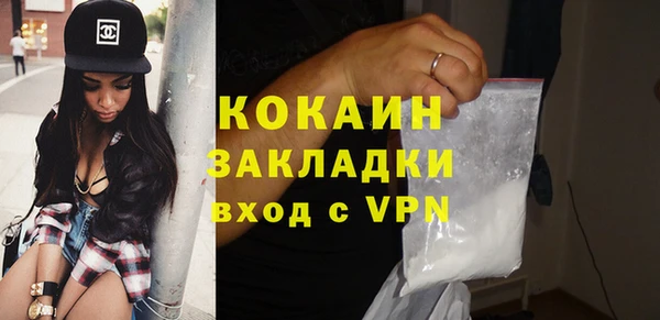 прущие грибы Горняк