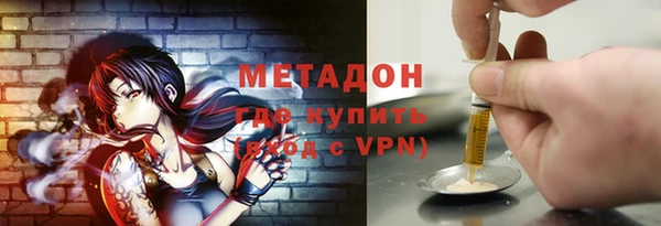 прущие грибы Горняк
