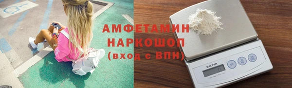 прущие грибы Горняк