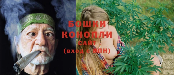 спиды Дубна
