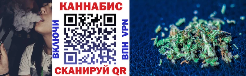 купить Дмитриев Бошки Шишки семена